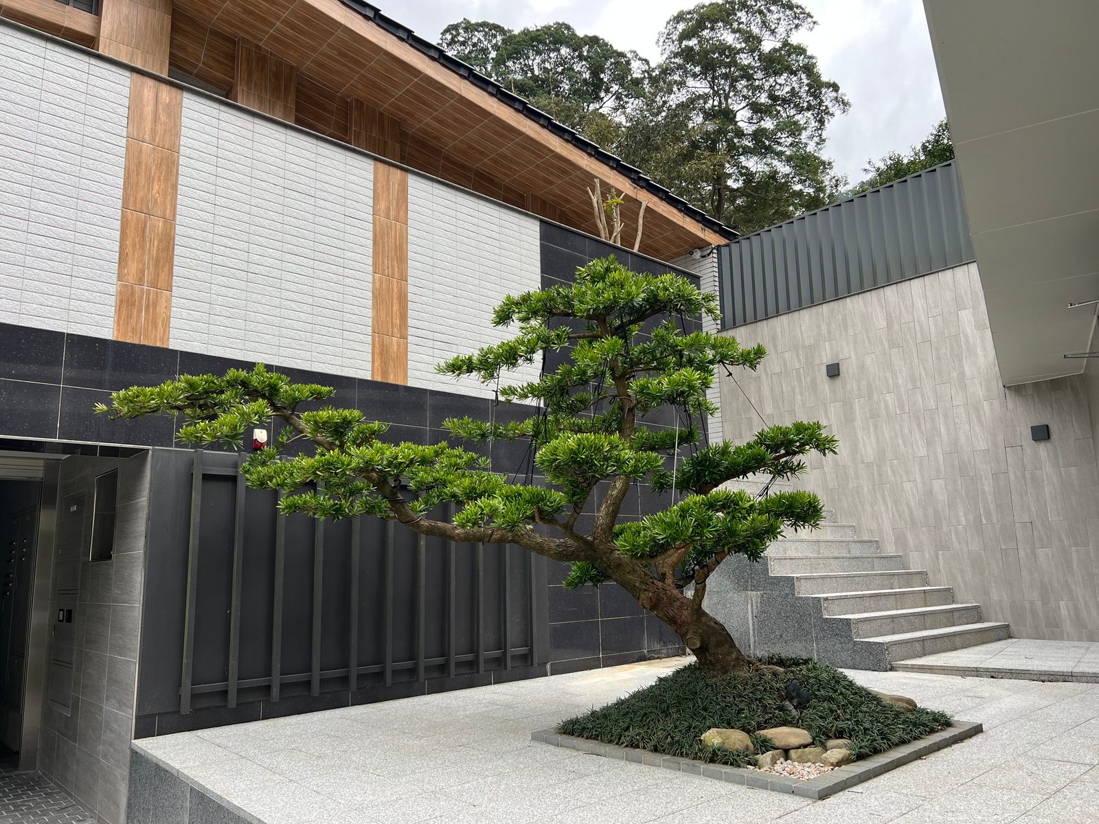 Entry, Single Specimen
