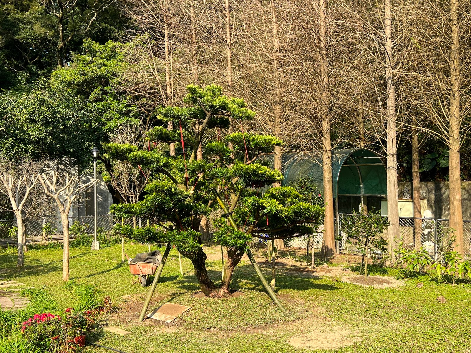 Held in the Nursery
