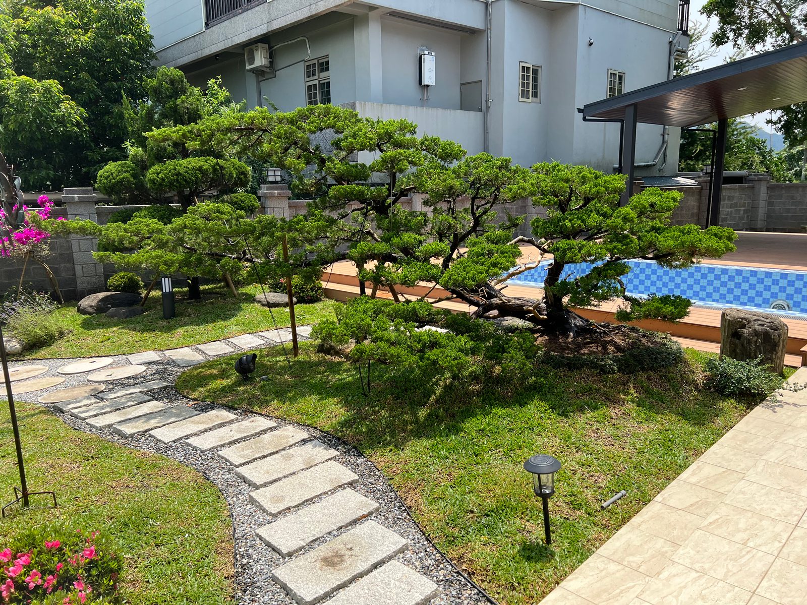 Pine, Path, Pool