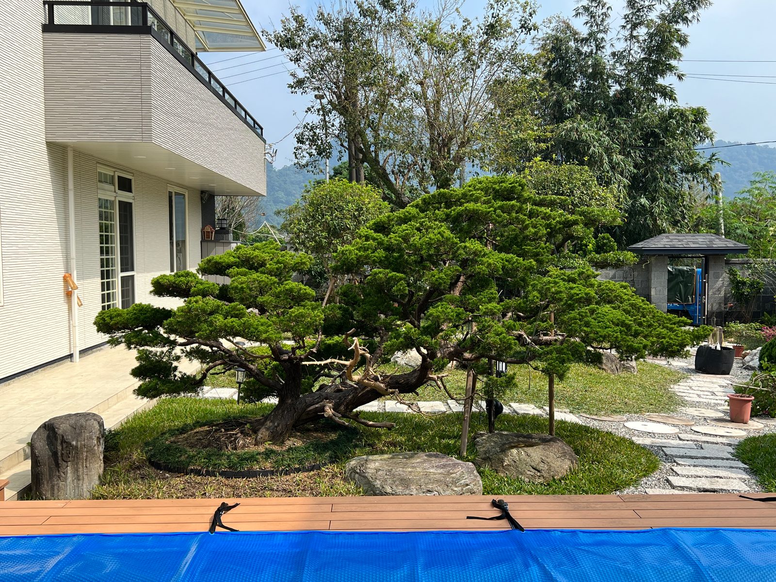 The Same Garden, Later Light