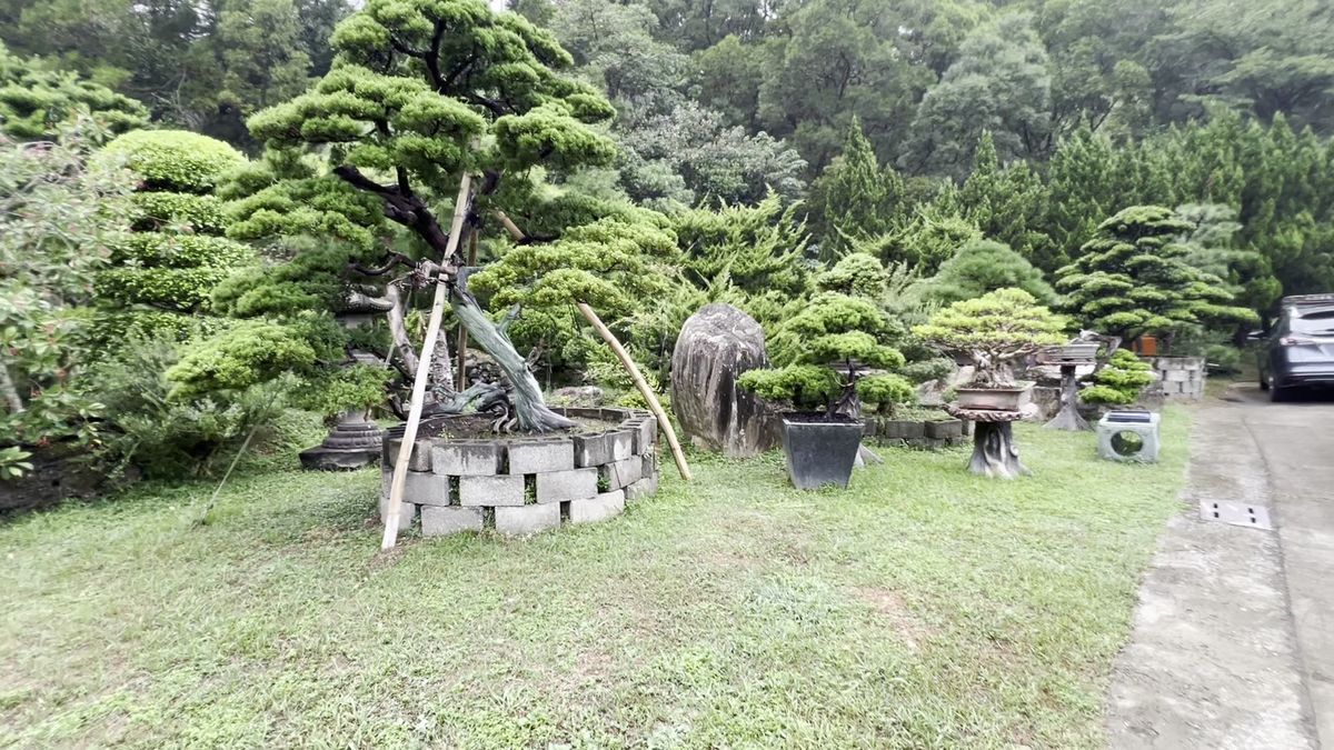 Nursery Garden II